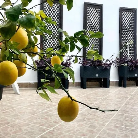Semesterbostad House In Centar With Terrace Split